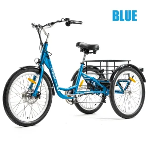 3 Wheel Electric Cargo Tricycle for Adult 750W Peak Motor